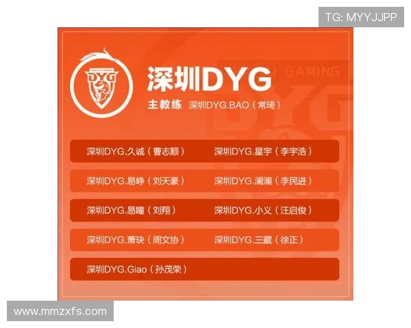 赛后复盘：RNG与V5对决中的战术分析与关键时刻解析