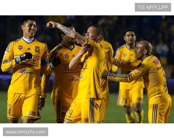 普埃大学与老虎大学的精彩对决谁能赢得胜利的荣耀与未来