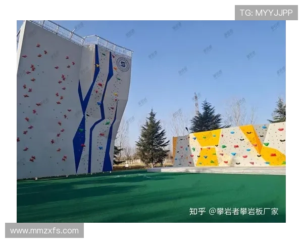 南京攀岩队如何通过控制革新提升竞技水平与团队协作能力 南京攀岩队如何通过控制革新提升竞技水平与团队协作能力