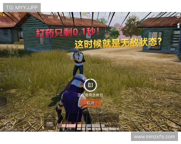 深度对话：周敏如何在和平精英中找到人生的意义与乐趣